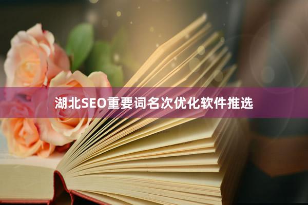 湖北SEO重要词名次优化软件推选